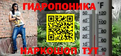 эйфоретик Будённовск