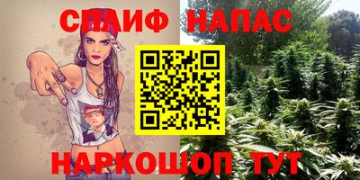 прущие грибы Ипатово