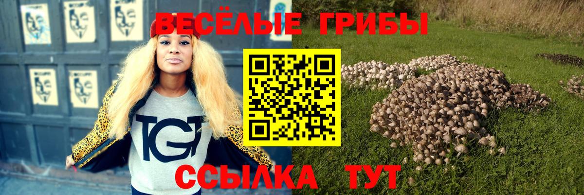 Соликамск  Псилоцибиновые грибы Cubensis  Вход с VPN  как найти закладки  Галлюциногенные грибы Psilocybine cubensis 
